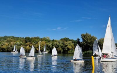Das war unsere Bocksbeutelregatta 2025